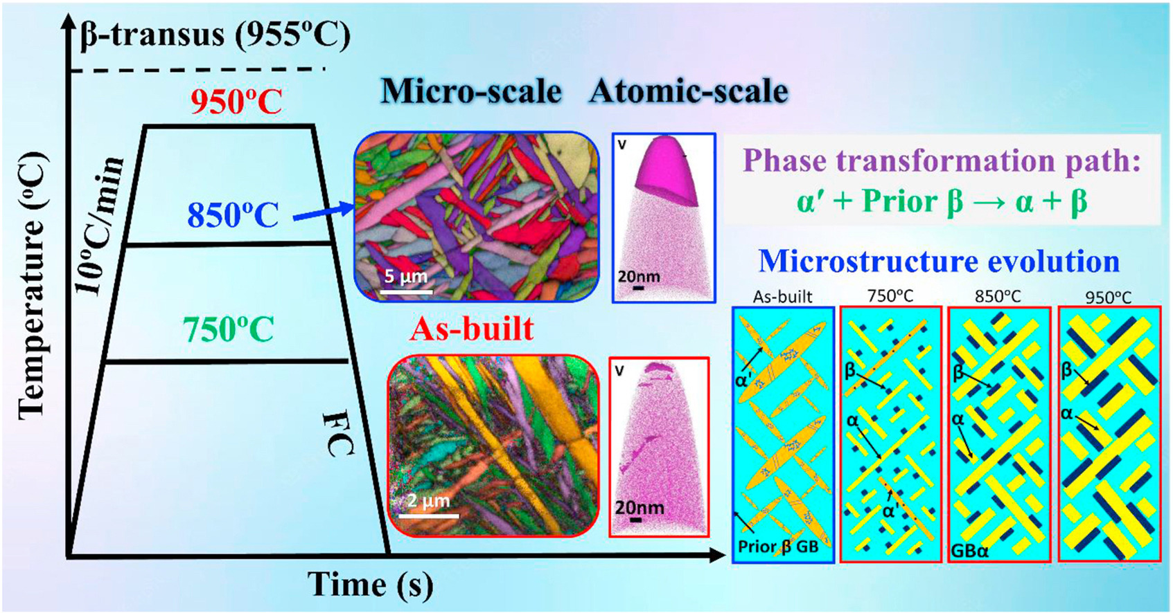 Transformation of Ti-6Al-4V Alloy By Indian researchers 1