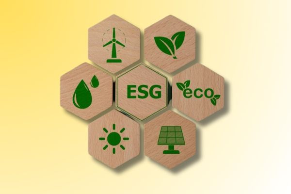 The Key Issues Which is Giving Rise to ESG in India THE VOLT POST