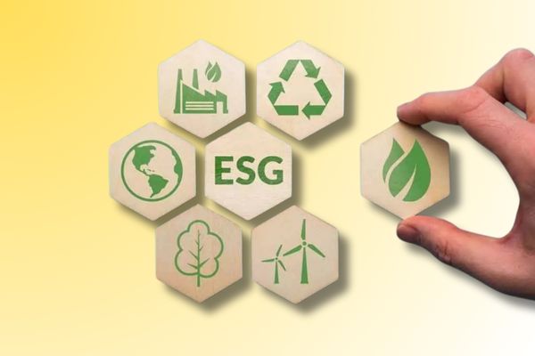 The Key Issues Which is Giving Rise to ESG in India THE VOLT POST