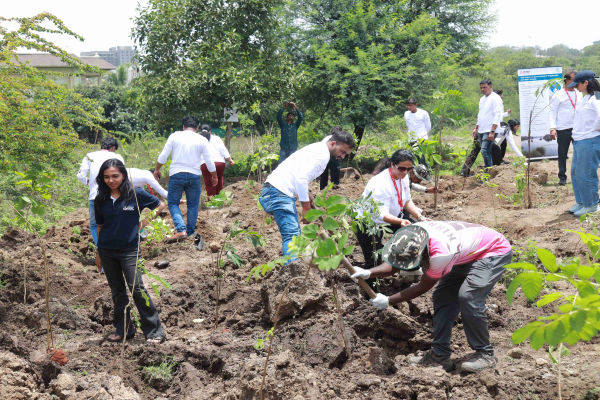 Earthwatch, Mitsubishi Electric India CSR Program   the volt post 