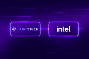 Artemis CPU, GPU, NPU resources with Intel XPU, OpenVINO