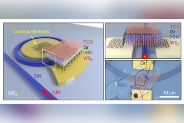 TOS/Graphene Enables Lossless 2D Phase Modulators